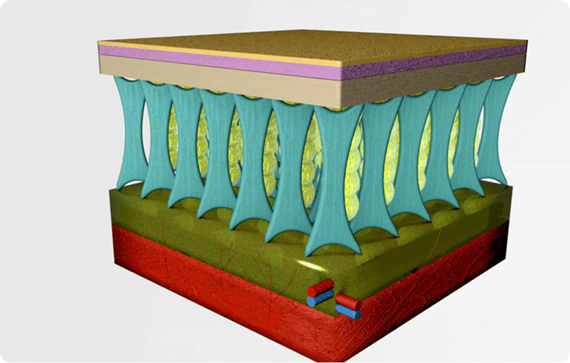 Connective bands pull down on the skin
